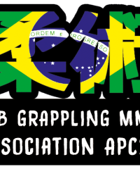 APC29 BREST JIU-JITSU BRÉSILIEN SAMBO GRAPPLING MMA